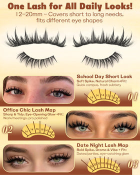 TOOCHUNAG lash scale on model eye showing 12mm to 20mm spikes, dramatic eye lift