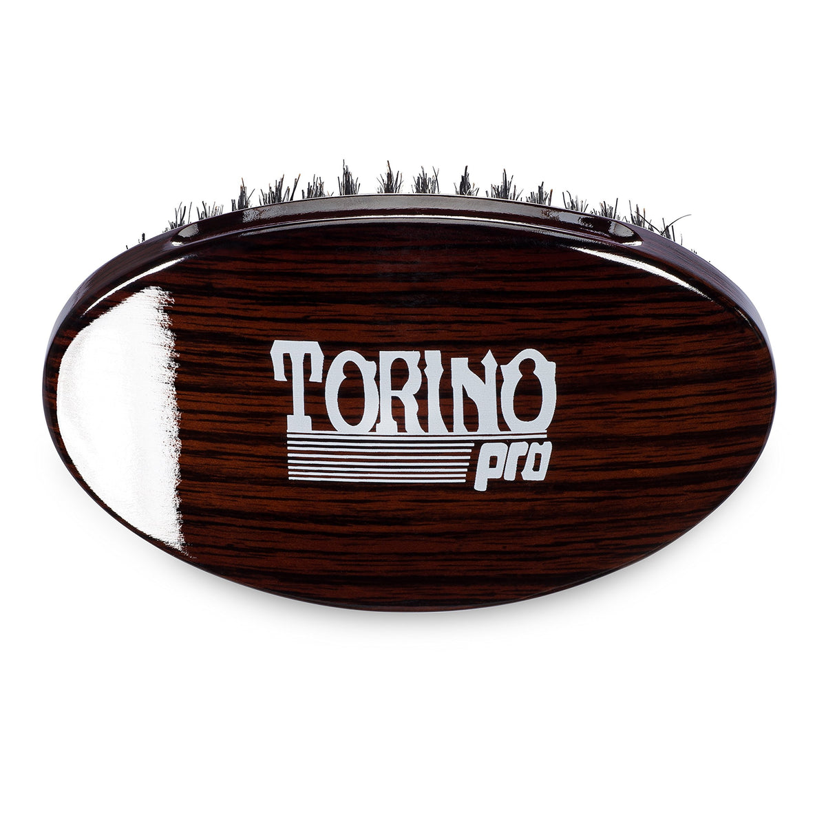 TORINO PRO TP730 held in hand to show palm-size scale and comfortable grip for longer brushing sessions