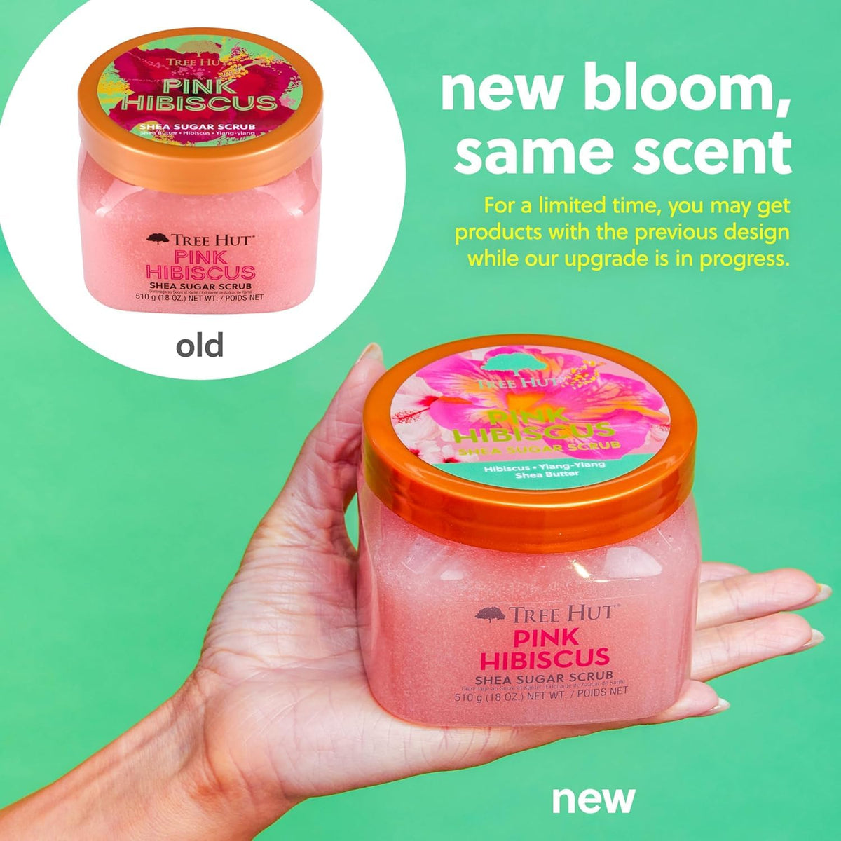 Tree Hut flatlay of shea and hibiscus ingredients highlighting nourishing benefits