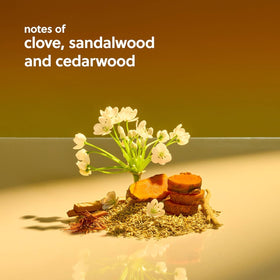 Tree Hut bottle beside sandalwood to convey the warm woodsy scent benefit