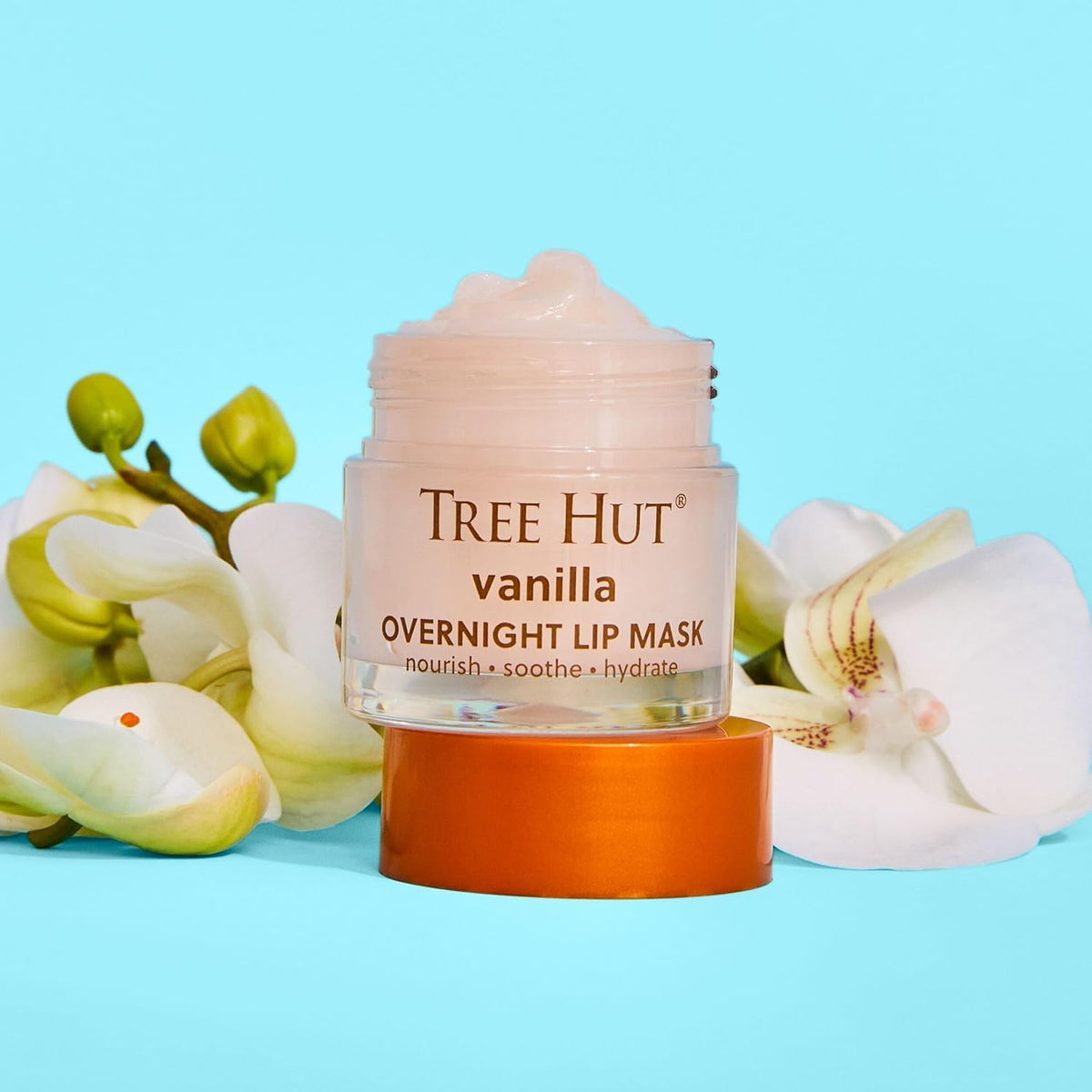Tree Hut jar placed next to raw shea butter highlighting nourishing ingredients