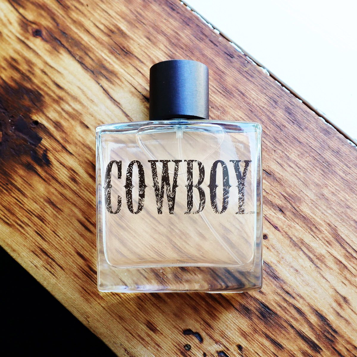 Tru Fragrance Beauty juniper and moss close-up illustrating fresh natural notes