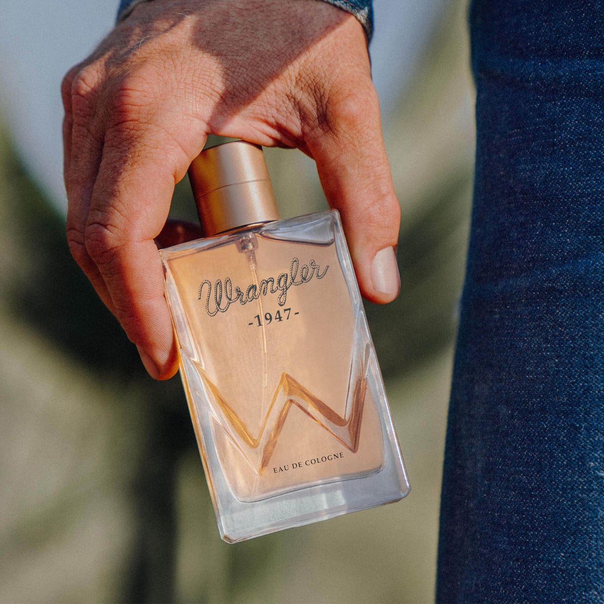 Tru Fragrance Beauty close-up of cedarwood and amber notes representing warm woody longevity