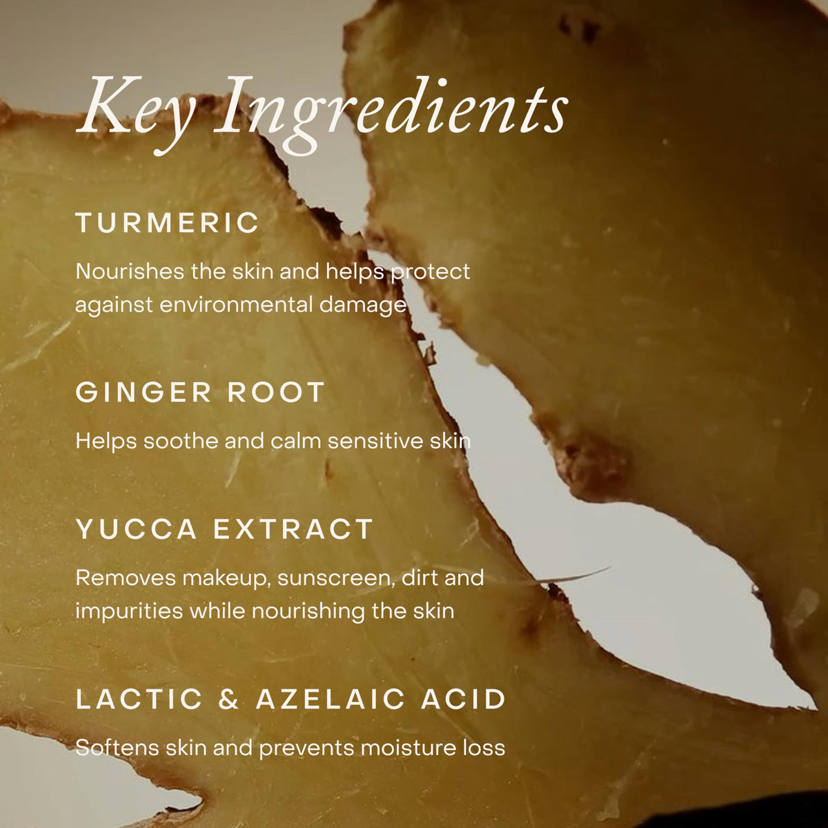 True Botanicals ingredient display with turmeric and ginger highlighting botanical benefits