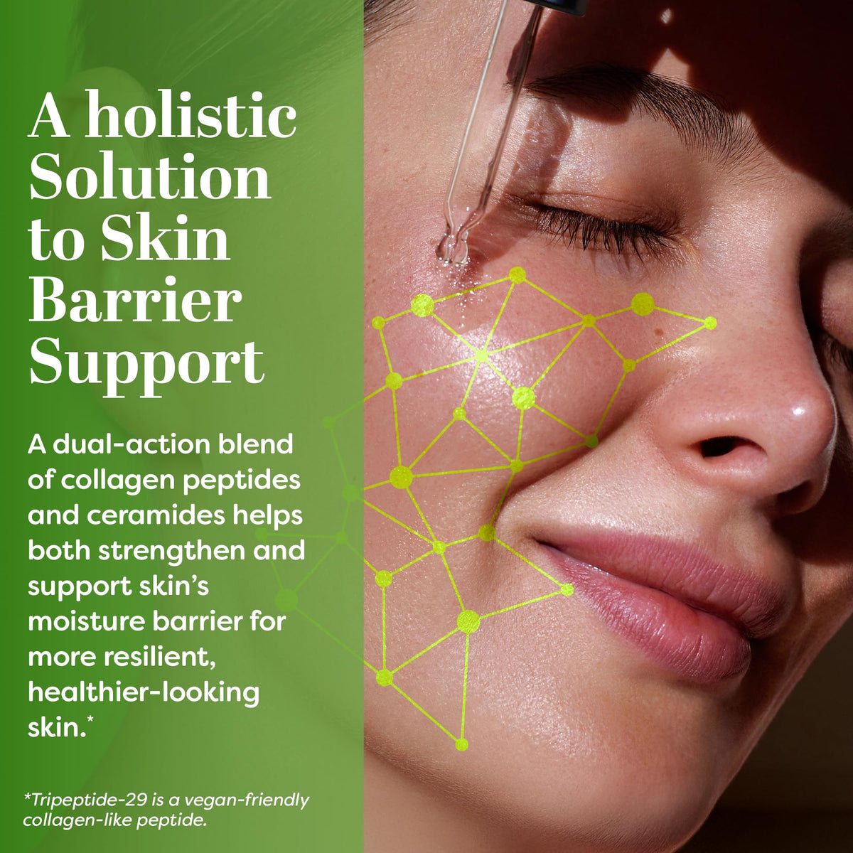 TruSkin botanical ingredients arranged to highlight antioxidants and support