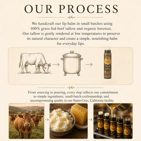 Untamed Organics 100% grass-fed tallow close-up illustrating nutrient-rich moisturizing benefit