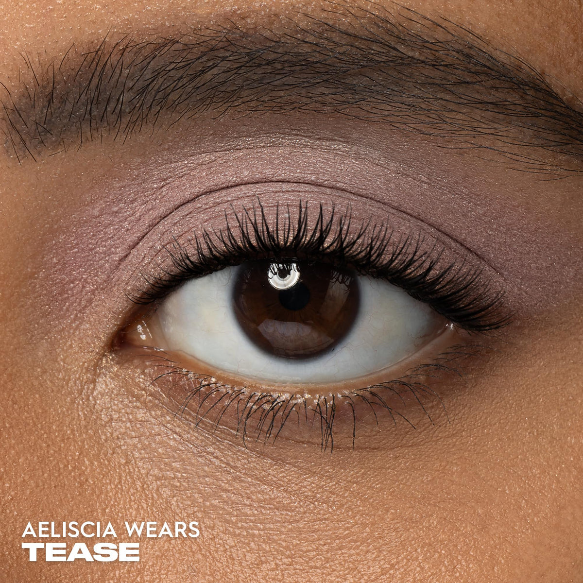URBAN DECAY close-up of Tease pan texture showing fine-milled surface benefit