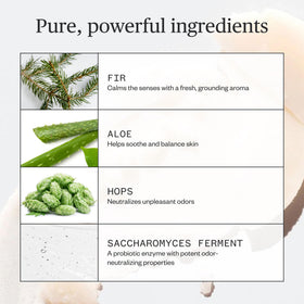 Ursa Major Forest Fix ingredients display with hops and kaolin clay showing natural odor control benefit