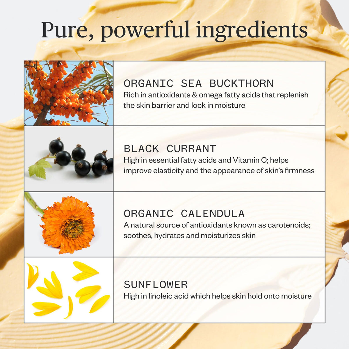 Ursa Major sea buckthorn ingredient shot highlighting antioxidant benefit