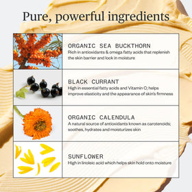 Ursa Major sea buckthorn ingredient shot highlighting antioxidant benefit