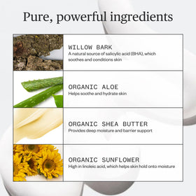 Ursa Major shea and aloe ingredients highlighting hydration benefits