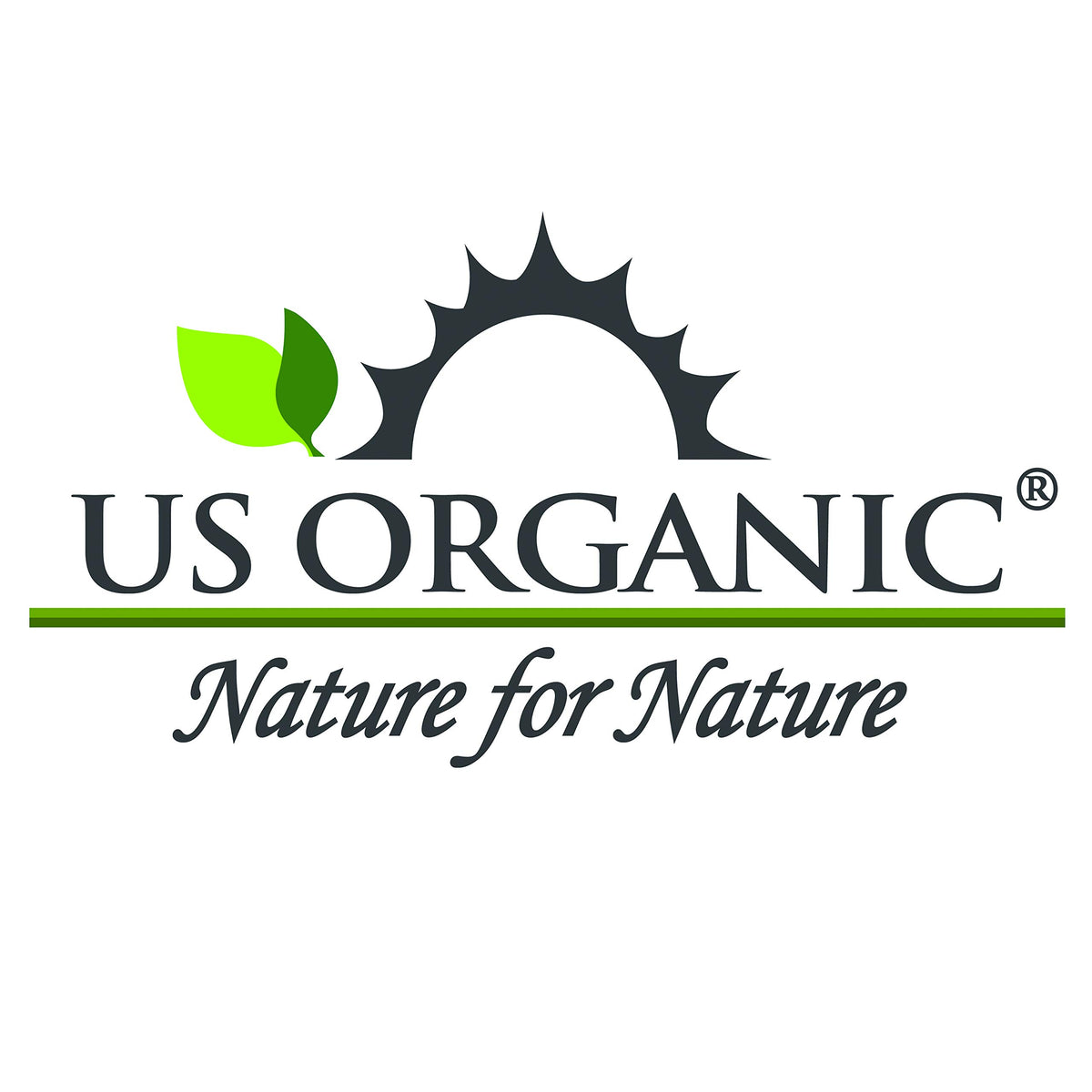 Diluted frankincense blend on skin patch with carrier oil, illustrates safe topical use