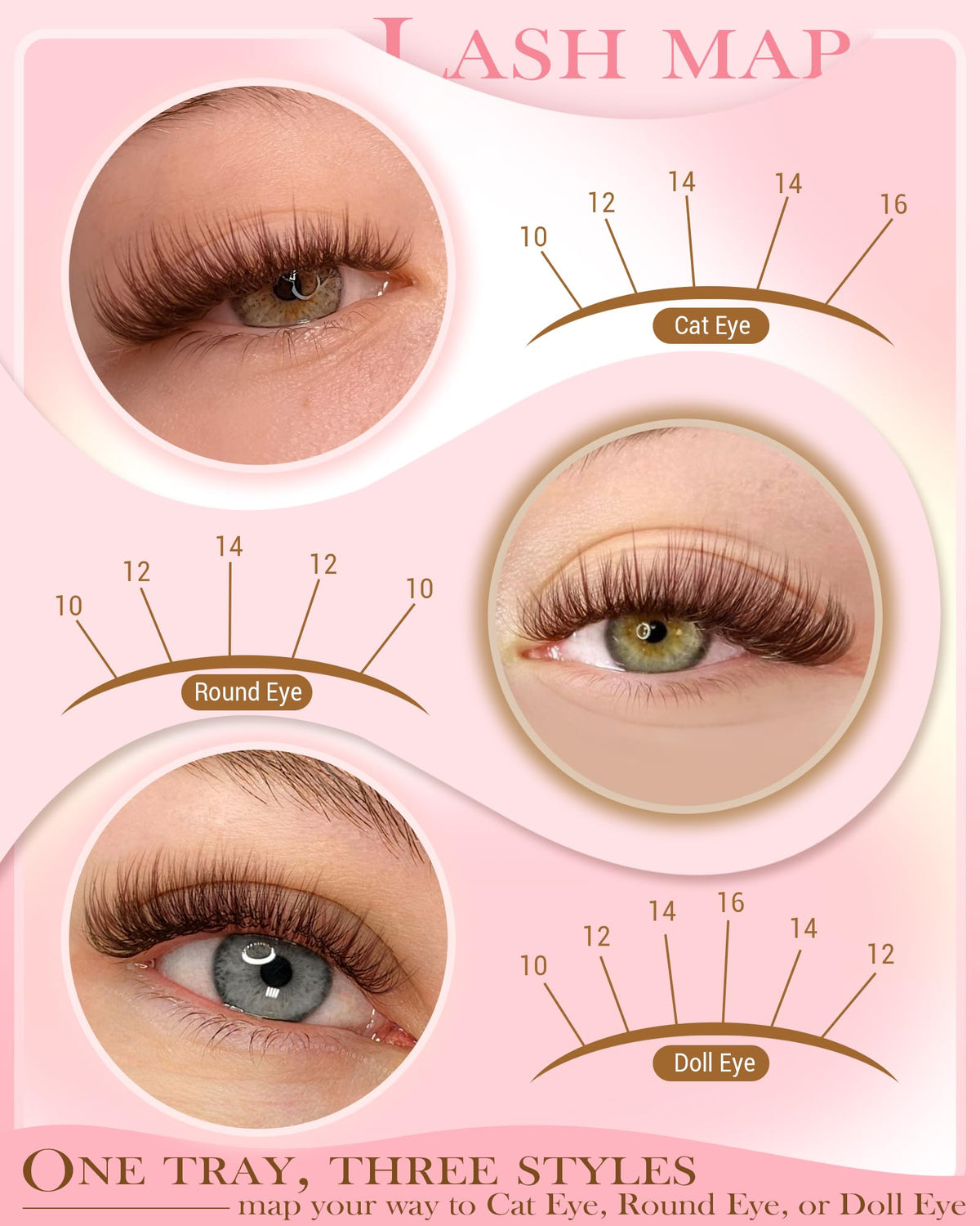 Vanssymunlin ruler alongside lashes showing 10–16mm lengths for tailored styling