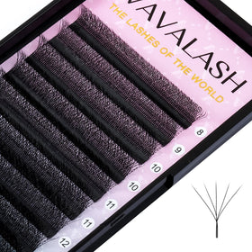 VAVALASH front package showing W-shaped 5D premade fans for fast application