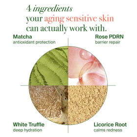 VELVENTE ingredients label with PDRN, matcha and white truffle for antioxidant repair