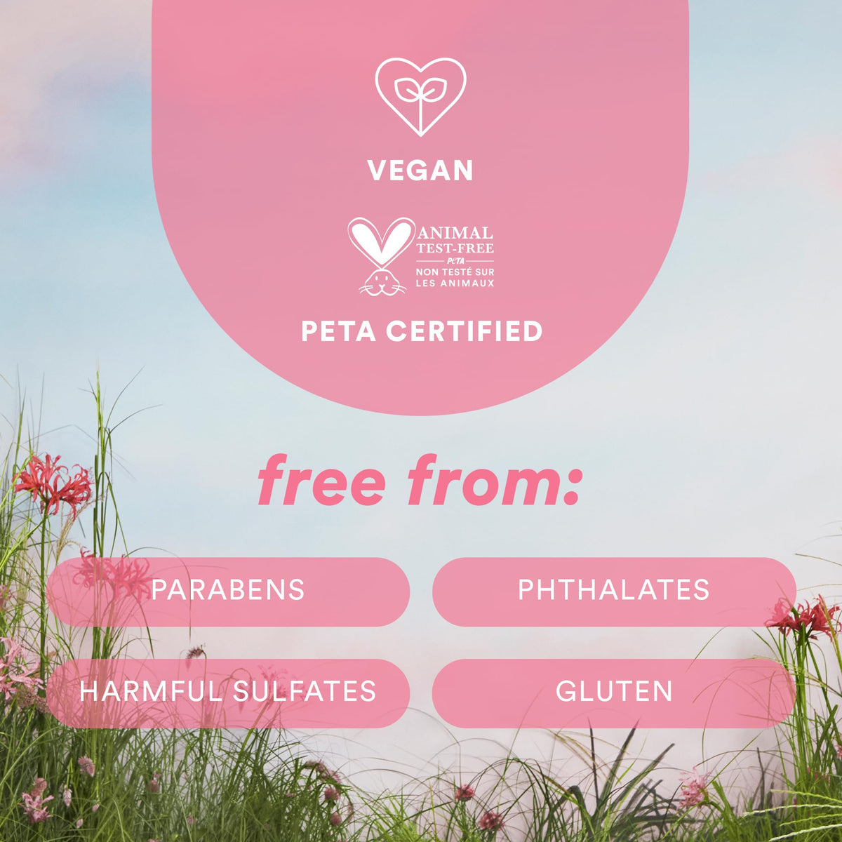 VERB ingredient focus with pomegranate and bilberry for nourishment