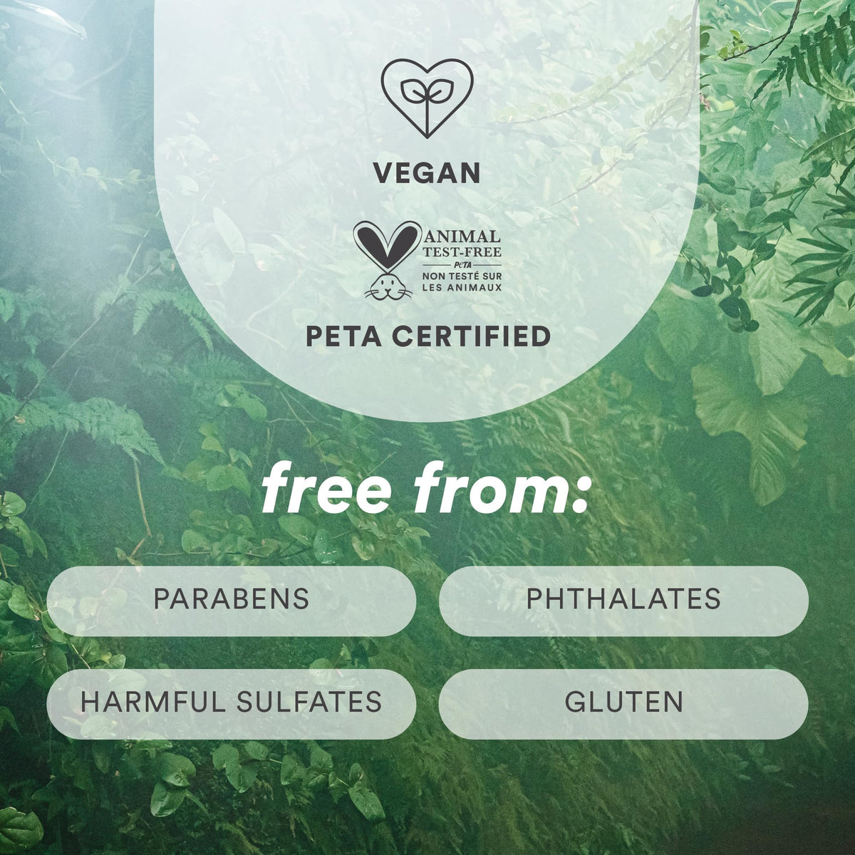 VERB seaweed extract ingredient close-up conveying nourishment and natural boost