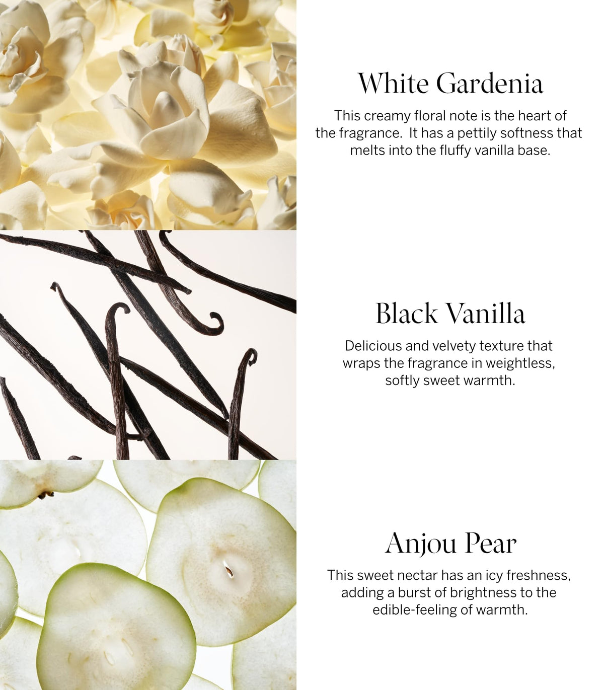 Victoria's Secret lotion texture close-up showing creamy absorbent finish