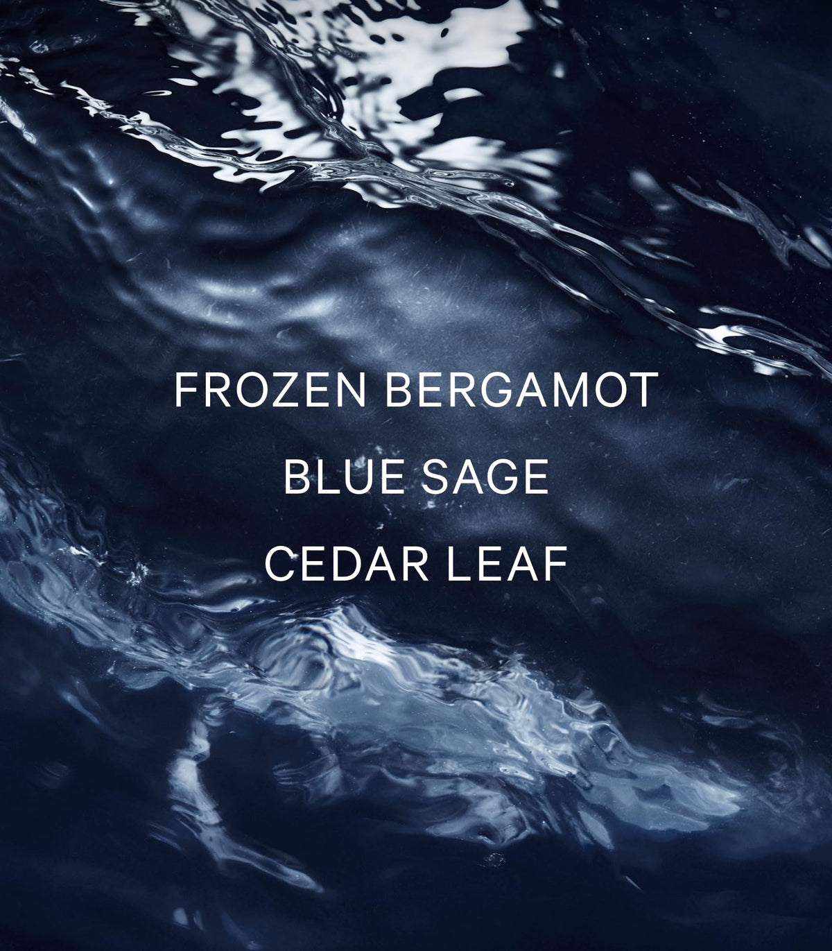 Victoria's Secret VS Him Deepwater ingredient notes frozen bergamot blue sage cedar leaf