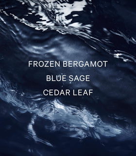 Victoria's Secret VS Him Deepwater ingredient notes frozen bergamot blue sage cedar leaf
