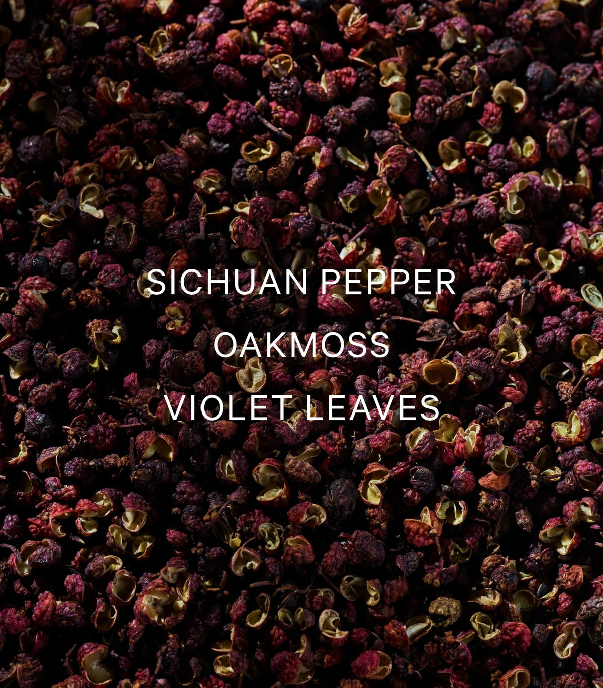 Victoria's Secret VS Him Platinum texture closeup showing lotion consistency and fast absorption benefit