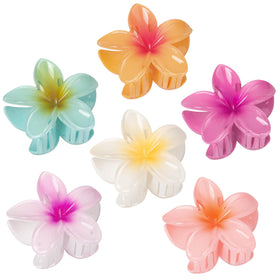 Vigorpace front packaging showing six hibiscus clips and bright colors for easy gifting