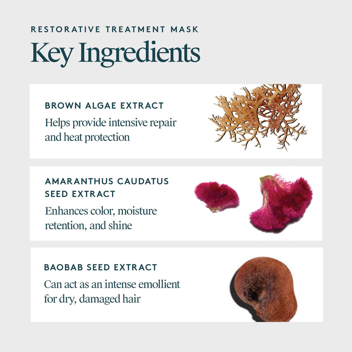 VIRTUE keratin and baobab seed oil ingredients highlighting nourishment