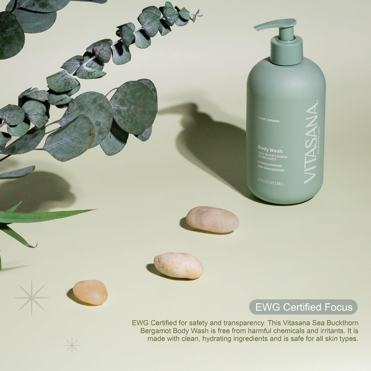 Vitasana 16oz bottle held in hand illustrating size and long‑lasting value