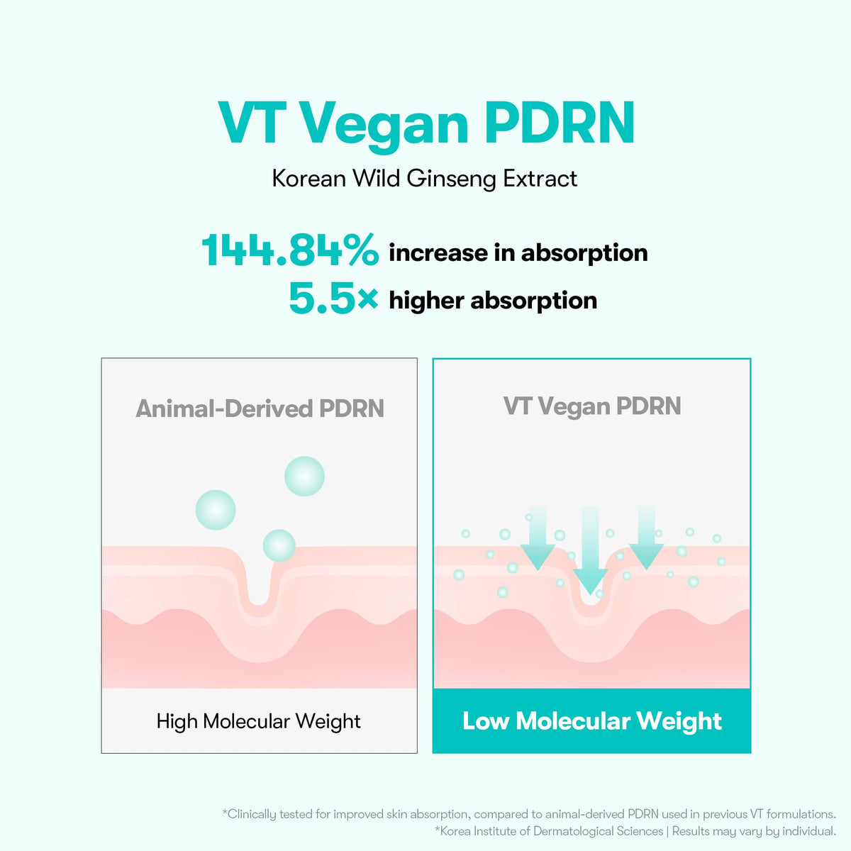 VT COSMETICS wild ginseng ingredient visual emphasizing vegan source