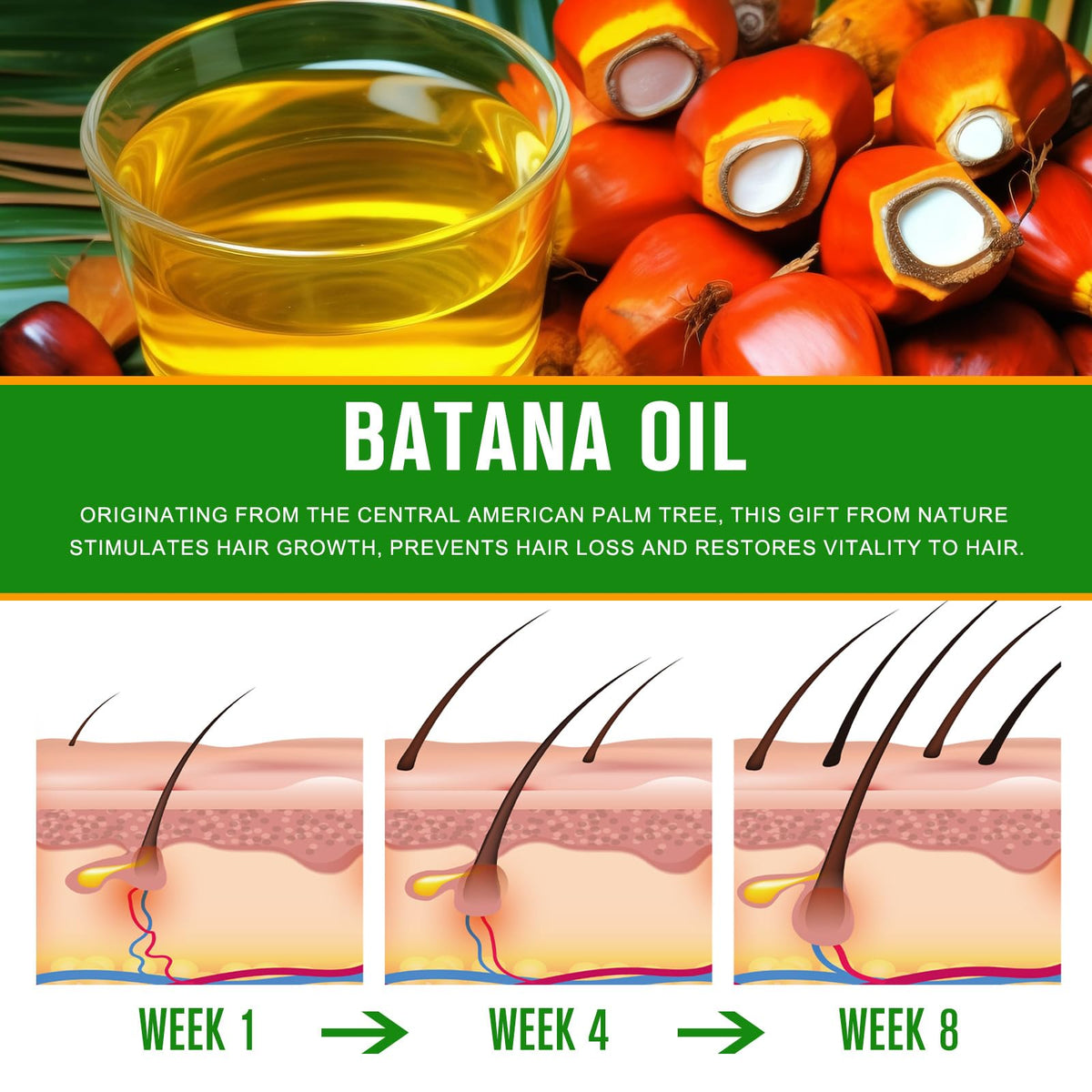 VXHDAG Batana oil applied to hair ends showing improved shine and reduced dryness