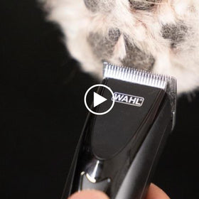 Wahl combs used on dog illustrating comfortable grooming results