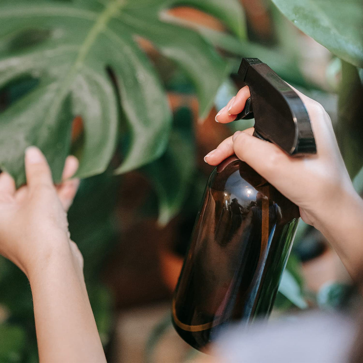 Wedama bottle next to smartphone showing 16 oz scale and travel practicality