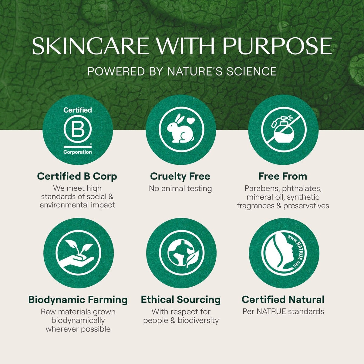 Arrangement of botanicals beside Weleda Relax showing natural extracts