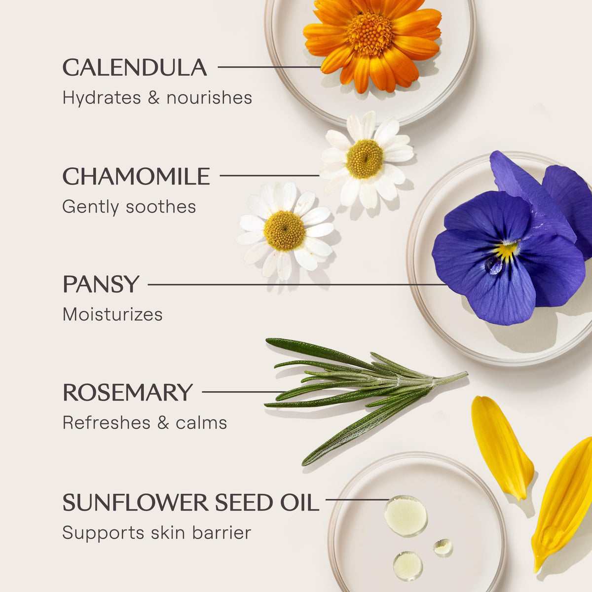 Weleda Skin Food botanicals calendula chamomile pansy displayed to show natural nourishment