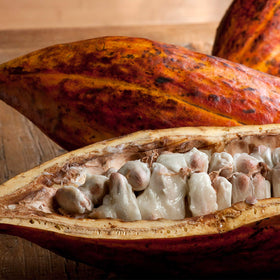 Weleda Skin Food label close-up highlighting botanical ingredients and cruelty-free claims for ingredient transparency