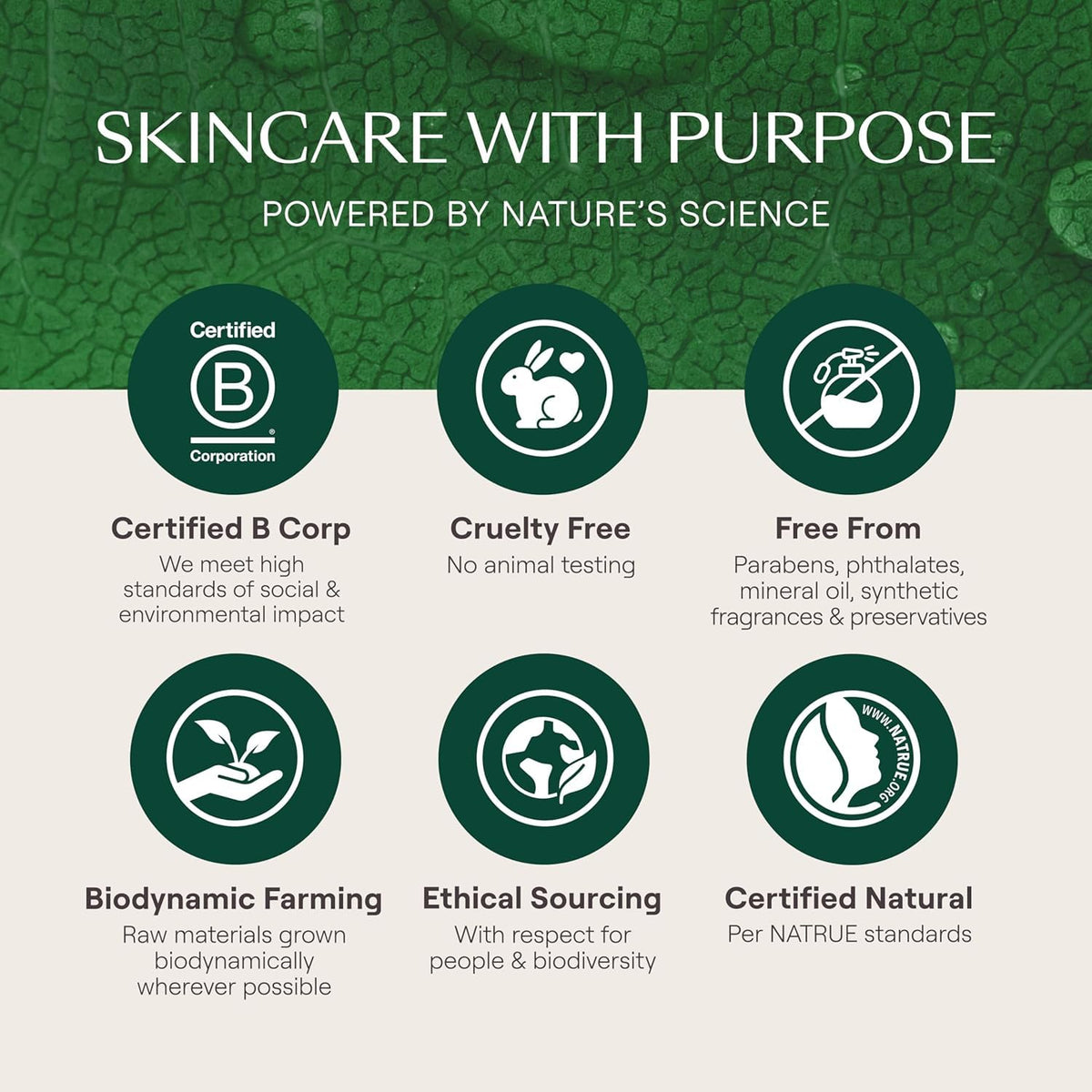 Weleda Skin Food cream spread on hand showing smooth, velvety finish