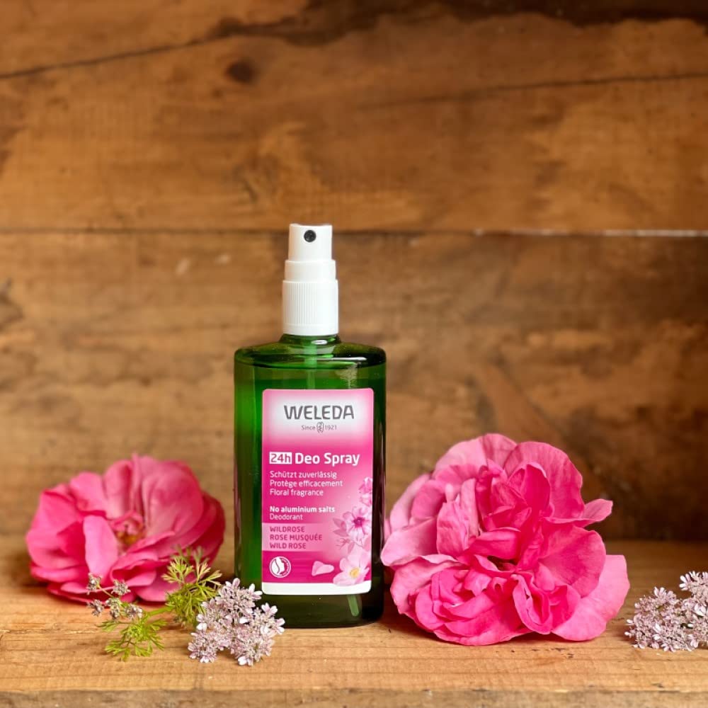 Close-up of Weleda Wild Rose pump spray nozzle, highlights easy non-aerosol application