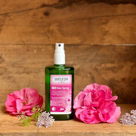 Close-up of Weleda Wild Rose pump spray nozzle, highlights easy non-aerosol application