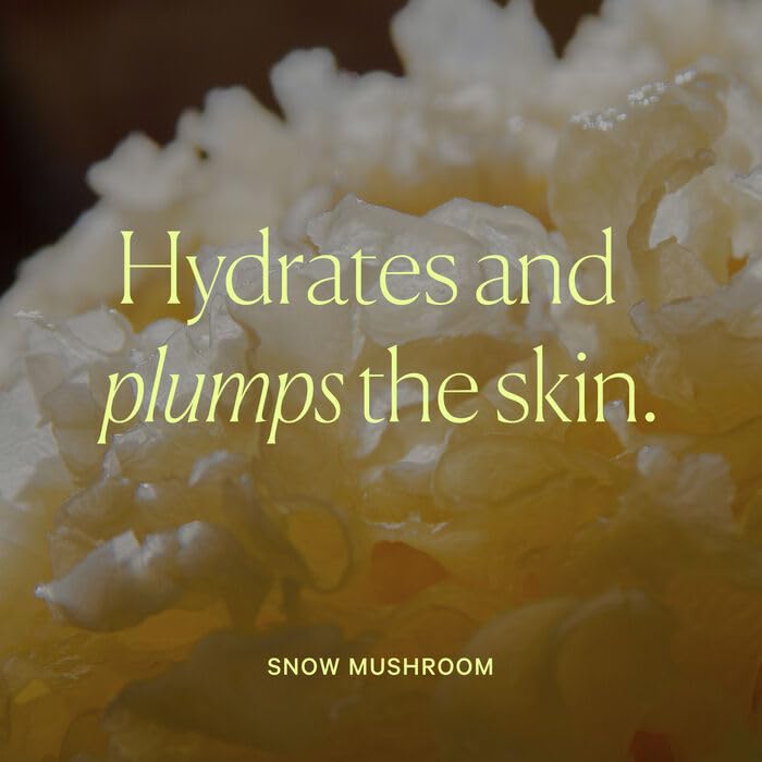 Well People ingredients label highlighting Aloe Vera Snow Mushroom Willowbark