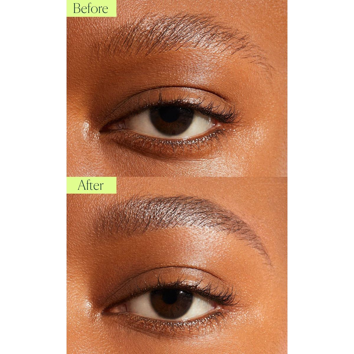 Well People plant ingredients image of mango, jojoba, castor highlighting conditioning benefits