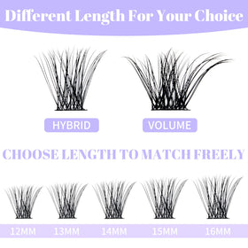WENDY LASHES application in use showing quick DIY placement and time-saving benefit