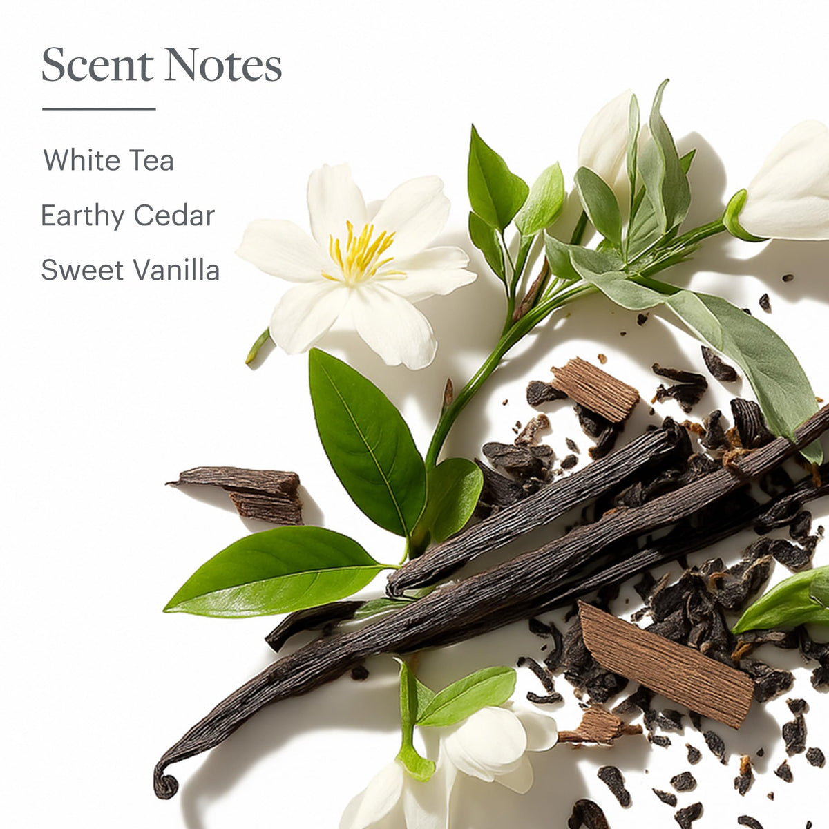 Westin ingredient label close-up showing white tea aloe and vitamins benefit