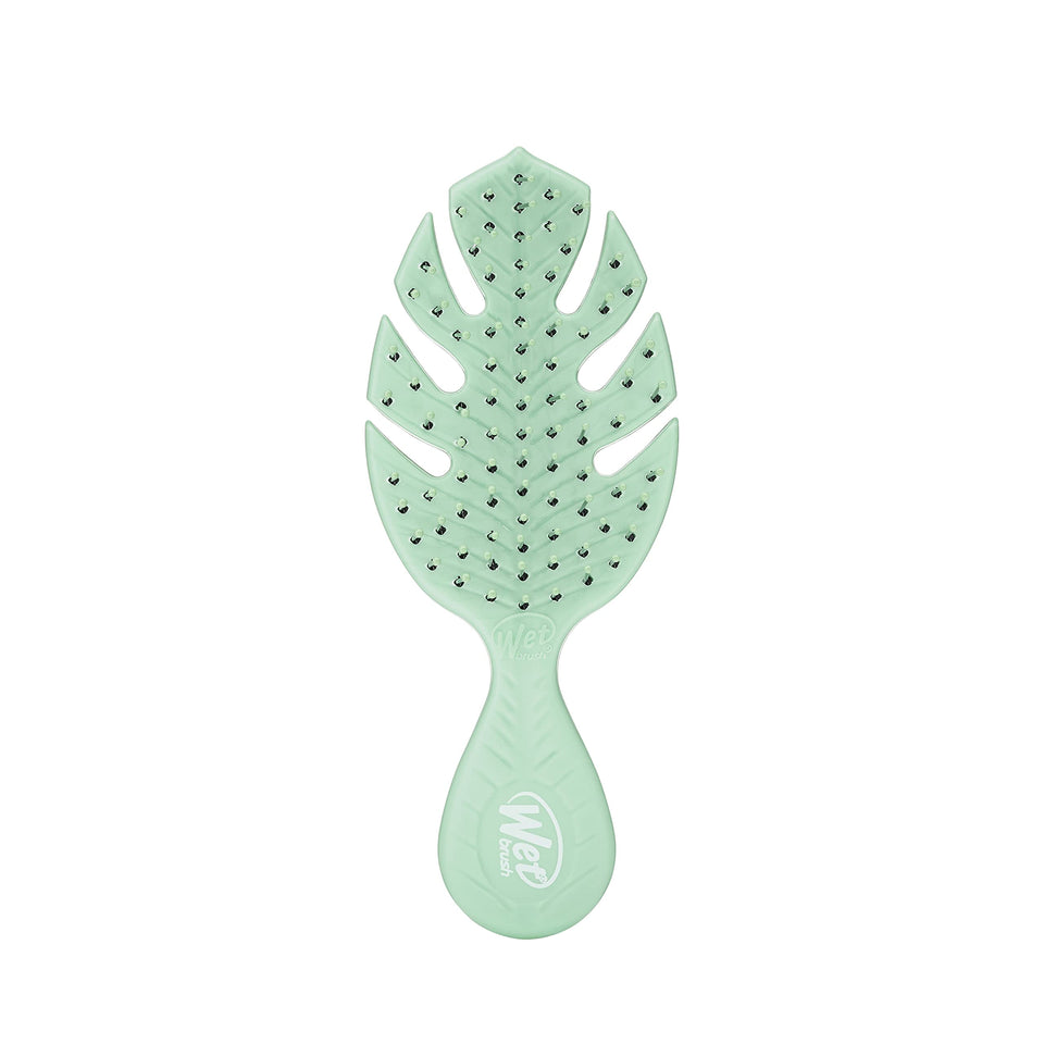 Wet Brush Go Green mini front view showing compact design and portability benefit