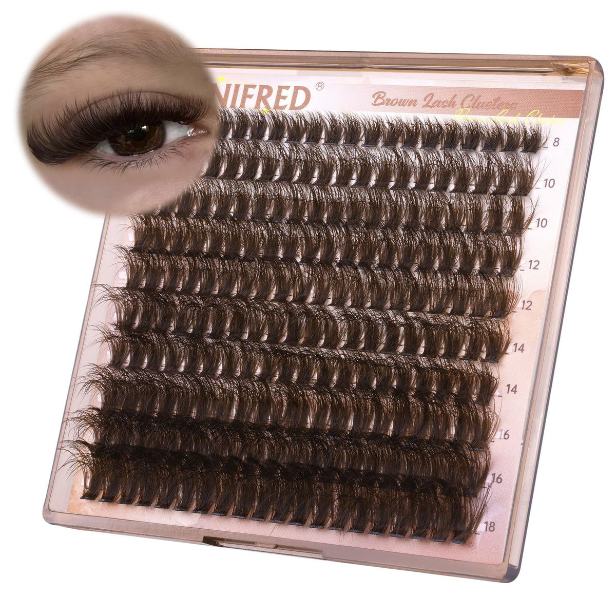 Winifred front packaging showing brown lash clusters and product benefit of easy selection