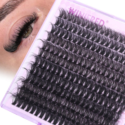 Winifred front packaging showing 240pcs cluster lashes and product benefits