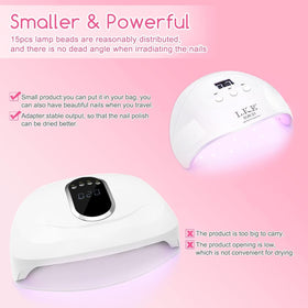 Wisdompark lamp beside common objects to show compact size for salon and home convenience