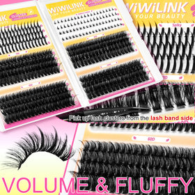 WiWiLINK cluster lengths beside ruler for scale and accurate placement