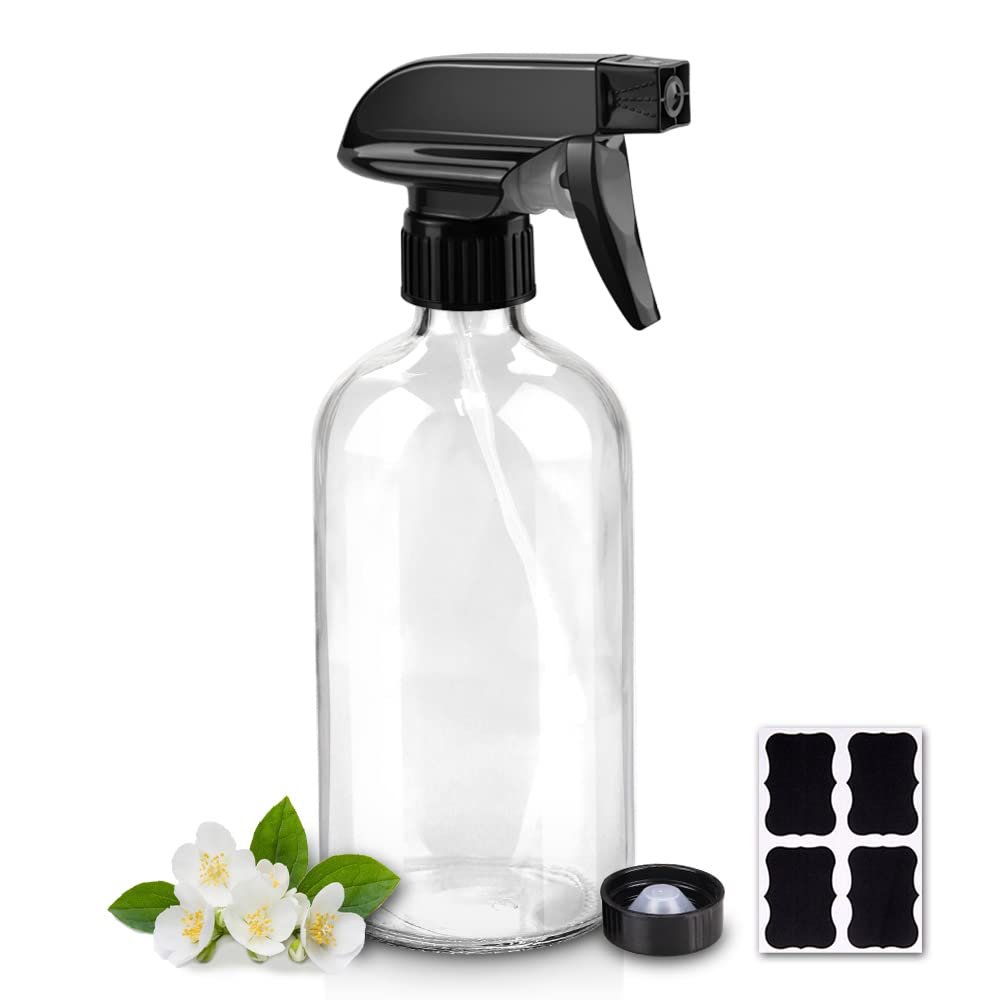 Worldgsb clear 16oz bottle front view showing clean design and capacity