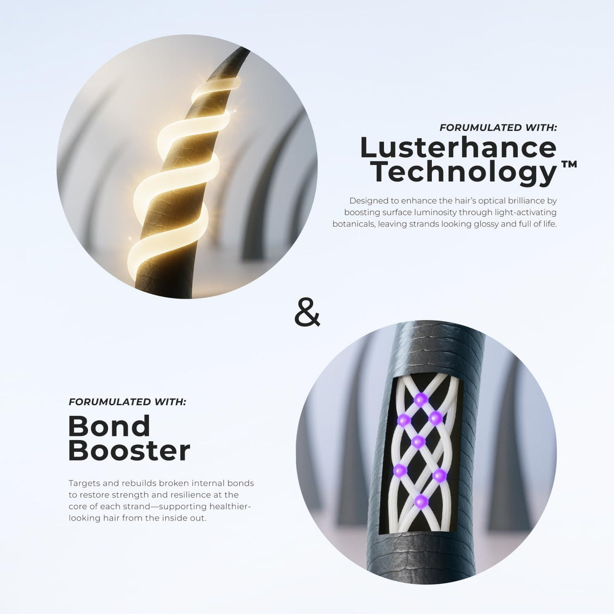 XMONDO ingredients label detail highlighting vegan and cruelty-free benefit