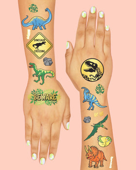 xo, Fetti assortment of T-Rex, Triceratops, volcano and footprint designs offering variety for guests